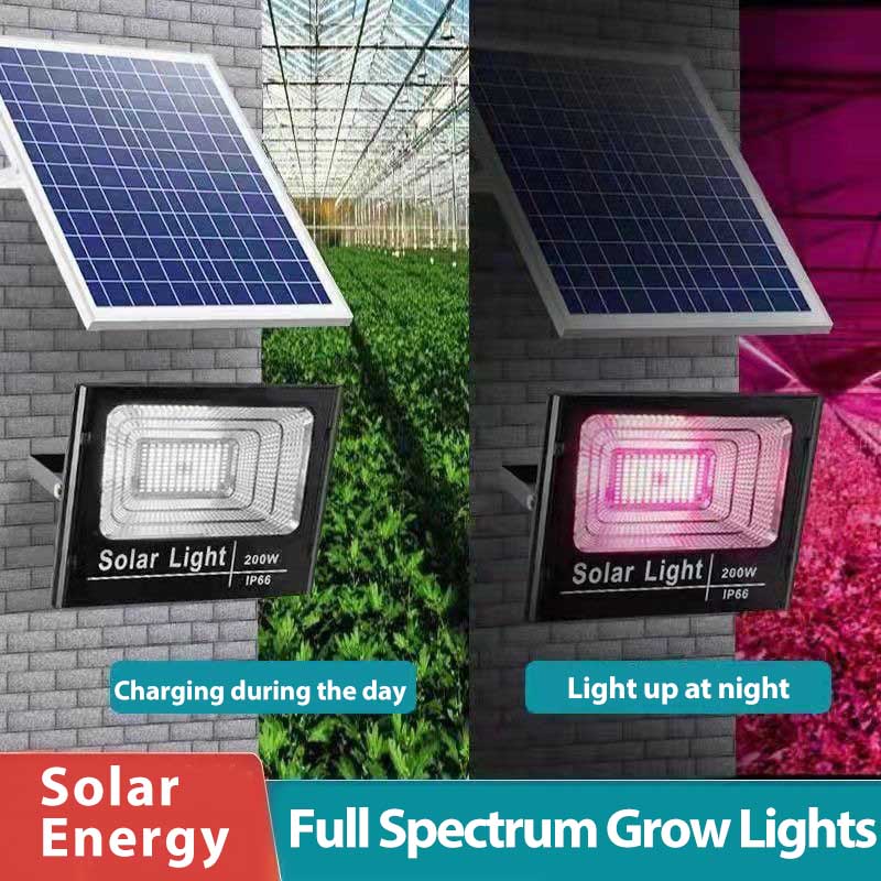 Lampes de culture LED à énergi - Renewable Energy Project avis et prix