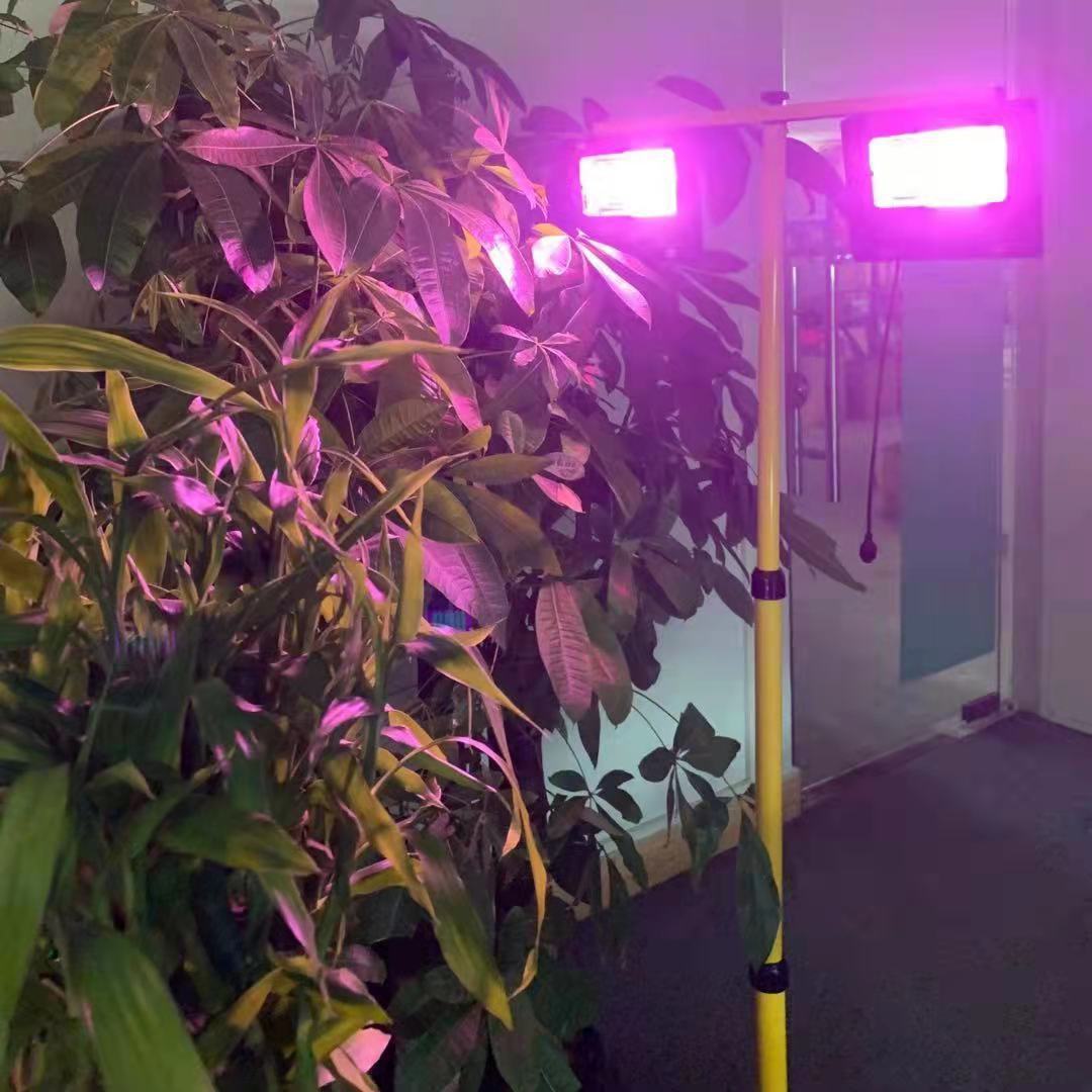 Lampes de culture LED à énergi - Renewable Energy Project avis et prix